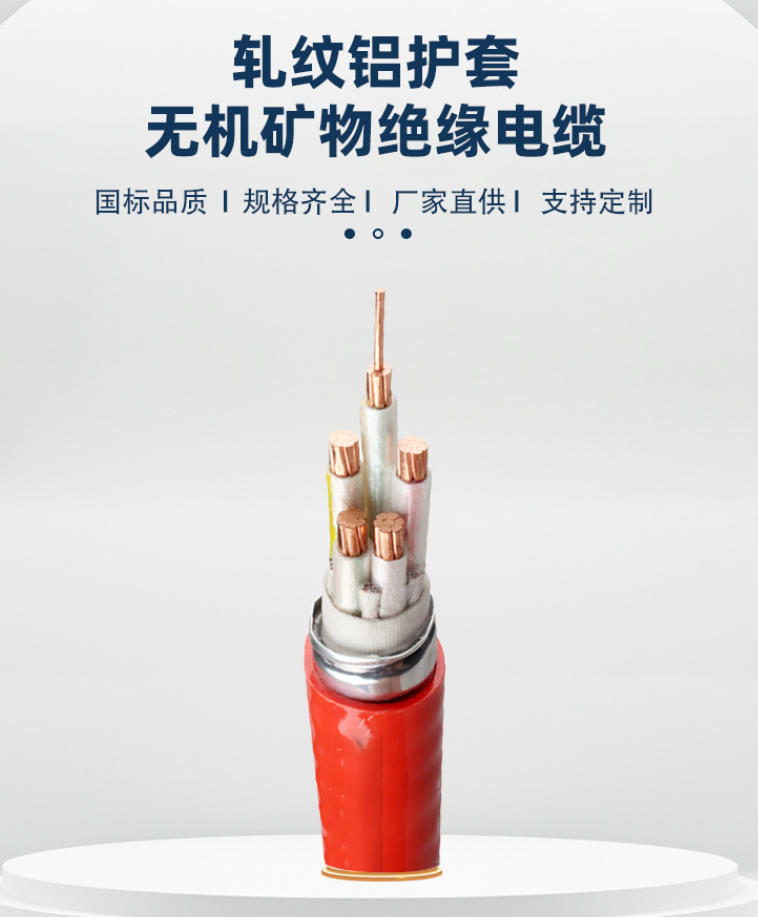 揭秘特种电缆结构：独特设计与关键组成部分解析